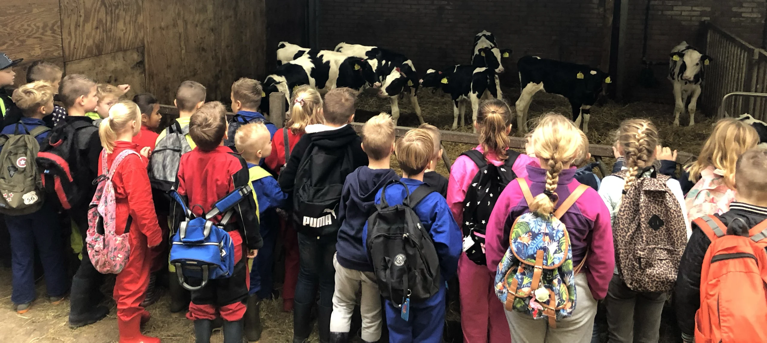 schoolbezoek boerderij Agnes kinderen van een school op bezoek op de boerderij van Agnes